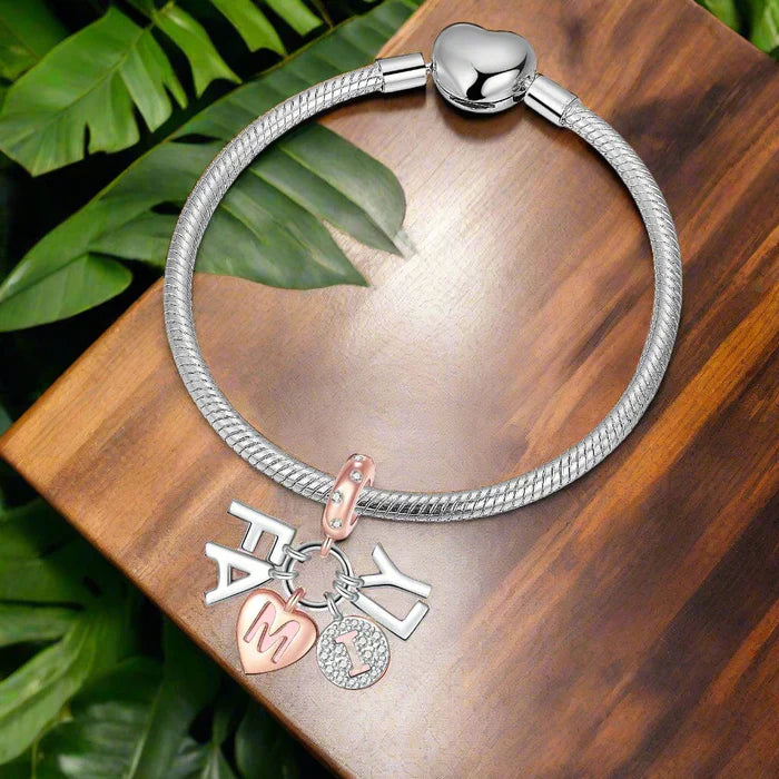 Pingente Charme de Dangle da Família